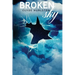 Broken Sky