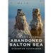 Abandoned Salton Sea: Dystopian Panoramas
