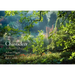 Chanticleer: A Pleasure Garden