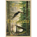 Eagles and Evergreens: A Rural Maine Childhood