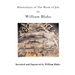 Illustrations of the Book of Job: Illustrations by William Blake