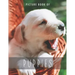 Picture Book of Puppies: for Alzheimer's Patients and Seniors with Dementia.