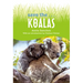 Save The... Koalas