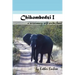 Chikombedzi I - A Missionary Wife Writes Home