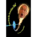 Notes from the Accretion Disk