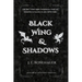 Black Wing and Shadows: Book One of the Sandorg Chronicles
