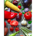 Picture Book of Vegetables & Fruits: for Alzheimer's Patients and Seniors with Dementia.