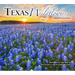Texas Wildflowers Impressions