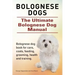 Bolognese Dogs. Ultimate Bolognese Dog Manual. Bolognese dog book for care, costs, feeding, grooming, health and training.
