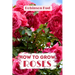How to Grow Roses: Easy guide to planning, planting and growing a rose flower
