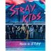 Stray Kids: Here to Stay