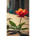 Echos of Resilience