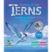 Return of the Terns: How Scientists Are Saving Island Birds
