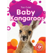 Baby Kangaroos