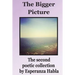 The Bigger Picture: the second poetic collection
