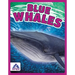 Blue Whales