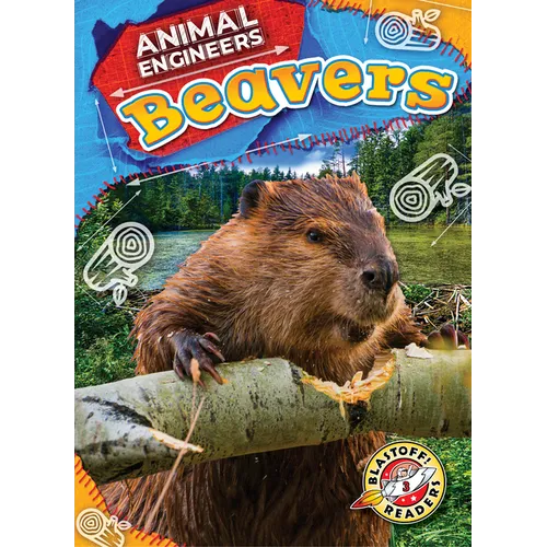 Beavers