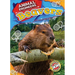 Beavers