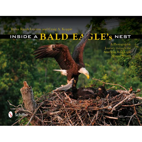 Inside a Bald Eagle's Nest: A Photographic Journey Through the American Bald Eagle Nesting Season