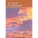 How To Grow A Lawyer: A Guide for Law Schools, Law Professors, and Law Students