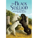 The Black Stallion and the Lost City