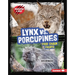 Lynx vs. Porcupines: Food Chain Fights