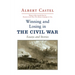 Winning and Losing in the Civil War: Essays and Stories