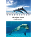 The Dolphin Heptad