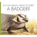 Do You Really Want to Meet a Badger?
