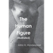 The Human Figure