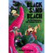 Black Sand Beach 2: Do You Remember the Summer Before?