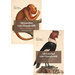 Alexander Von Humboldt: Writings in English, 1789-1859