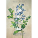 Lady Digs the Blues: An Inspirational Journal of Eliza Lucas Pinckney