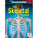 The Skeletal System