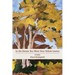 In the Dream You Wore Your Yellow Leaves: poems