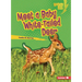 Meet a Baby White-Tailed Deer