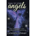 Talk to your angels: How to have great angel conversations in 30 days or less