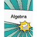 Algebra Graph Paper Notebook: (Large, 8.5"x11") 100 Pages, 4 Squares per Inch, Math Graph Paper Composition Notebook for Students