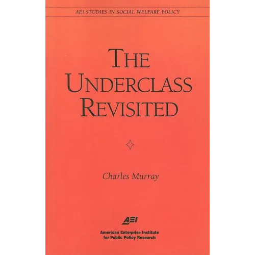 The Underclass Revisited