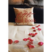 The Little Red Book: A Bedroom Talk Dictionary