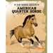 American Quarter Horse