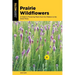 Prairie Wildflowers