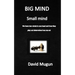 BIG MIND small mind: We have two minds in one head