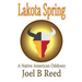 Lakota Spring: A Native American Odyssey