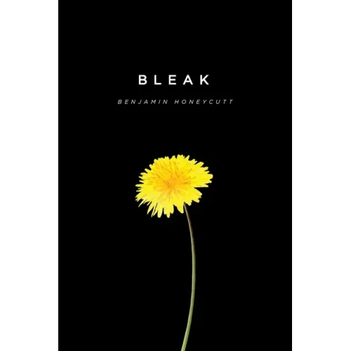Bleak: A Story of Bullying, Rage and Survival
