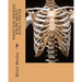 What you should know about Lung Cancer