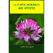 Las plantas medicinales más eficaces
