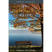 The Little Book of Still: Calm for Busy Lives