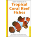 Tropical Coral Reef Fishes