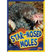 Star-Nosed Moles
